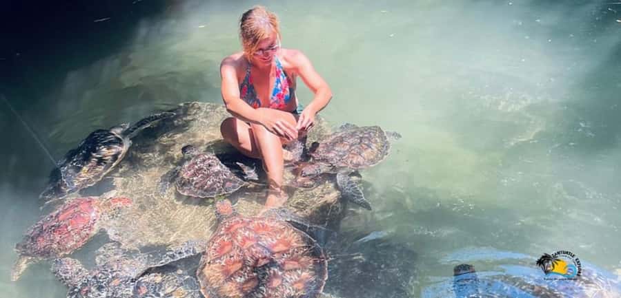 Zanzibar: Baraka Aquarium Feed, Swim & Snorkel with Turtles - Meeting the turtles at Baraka Natural Aquarium