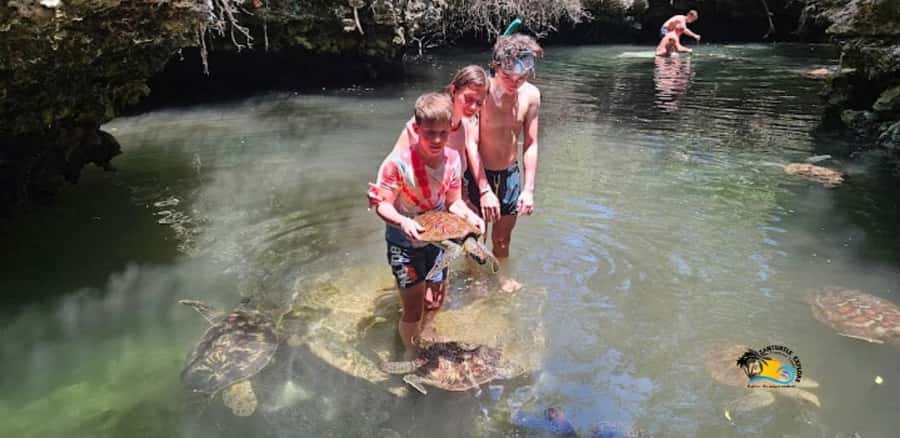 Zanzibar: Baraka Aquarium Feed, Swim & Snorkel with Turtles - Feeding the turtles without getting bitten