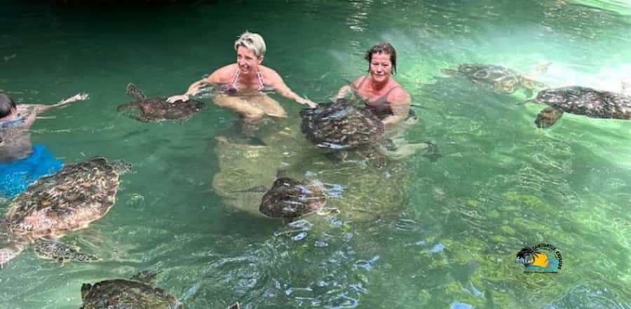 Zanzibar: Baraka Aquarium Feed, Swim & Snorkel with Turtles - What the $42 price really covers