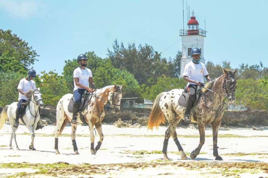 Zanzibar: Beach Horseback Ride and Swim with the Horse - Riding from the stable to Zanzibar’s white-sand coast