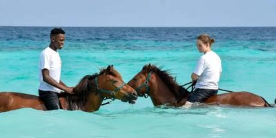 Beach Horseback Ride and Swim with the Horse