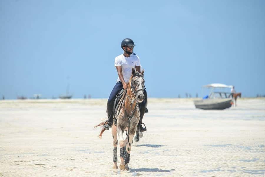 Zanzibar: Beach Horseback Ride and Swim with the Horse - Is $136 fair for half an hour?