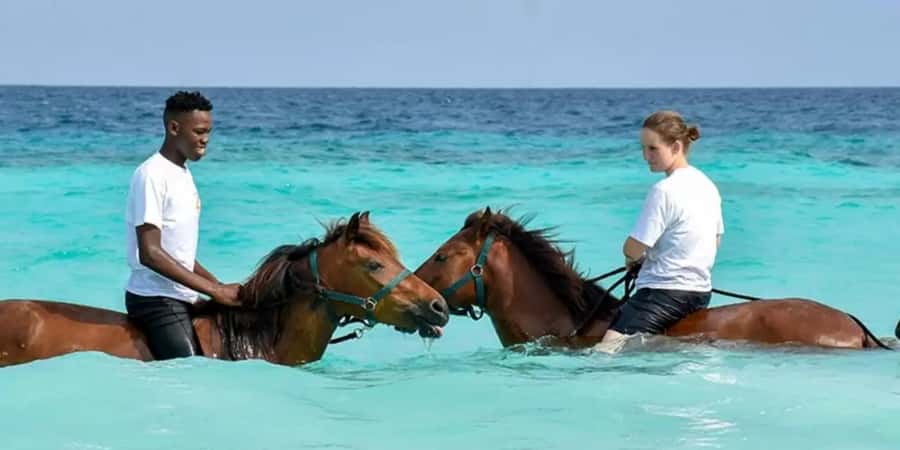 Zanzibar: Beach Horseback Ride and Swim with the Horse - Thirty minutes on the beach, with time for the sea