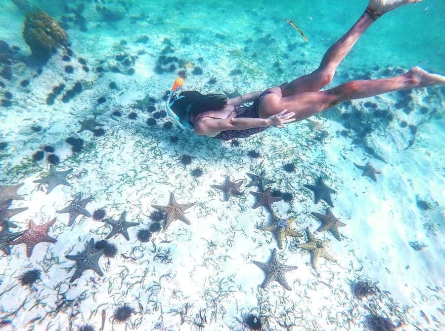 Zanzibar: Blue lagoon, Starfish, Paje Beach and Maalum Cave - One hour on the road to the Blue Lagoon