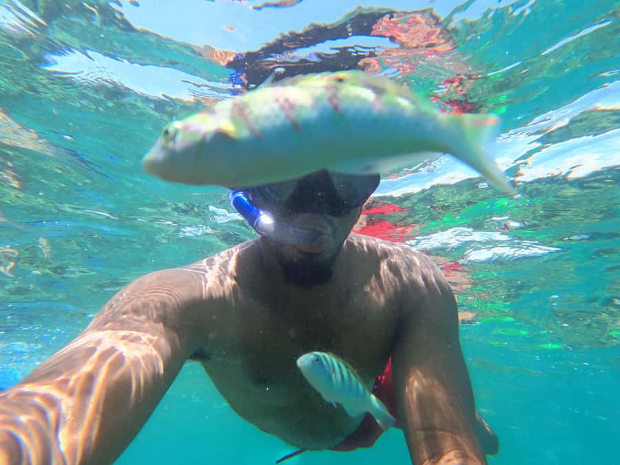 Zanzibar: Blue lagoon, Starfish, Paje Beach and Maalum Cave - Guides, languages, and group details
