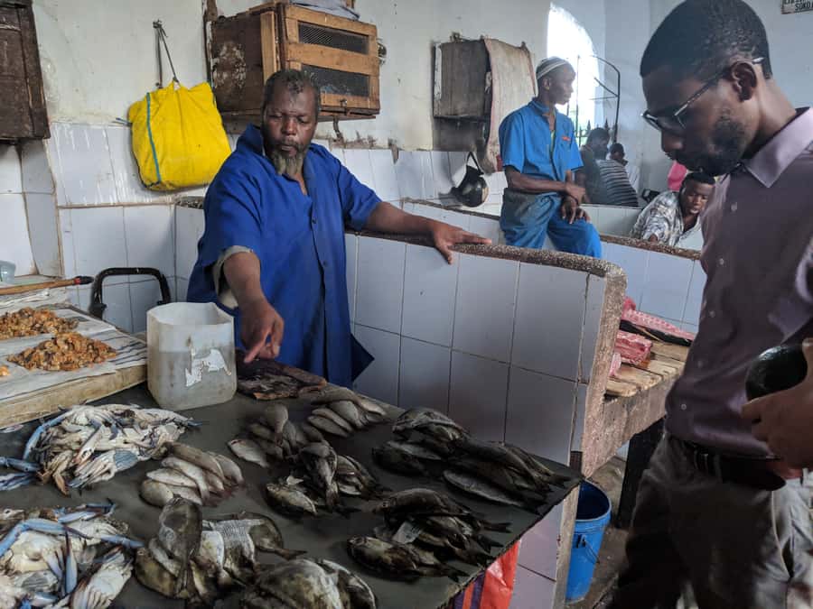 Zanzibar: Changuu Island and Stone Town Tour with Lunch - Guide quality, timing, and the private format