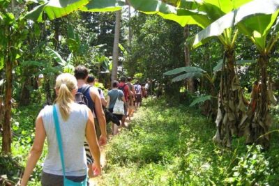 Zanzibar Cooking Class & Spice Tour