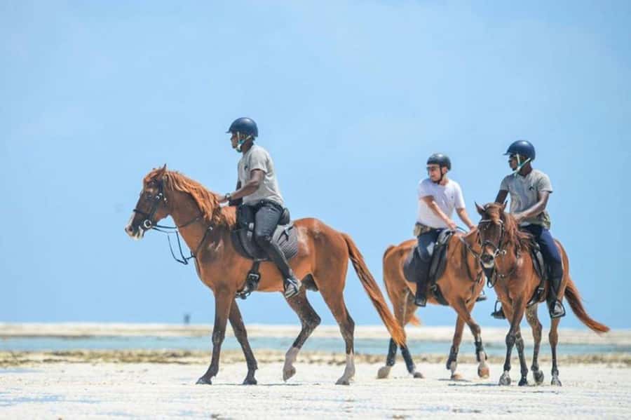 Zanzibar Horseback Riding - Key points to know before you book