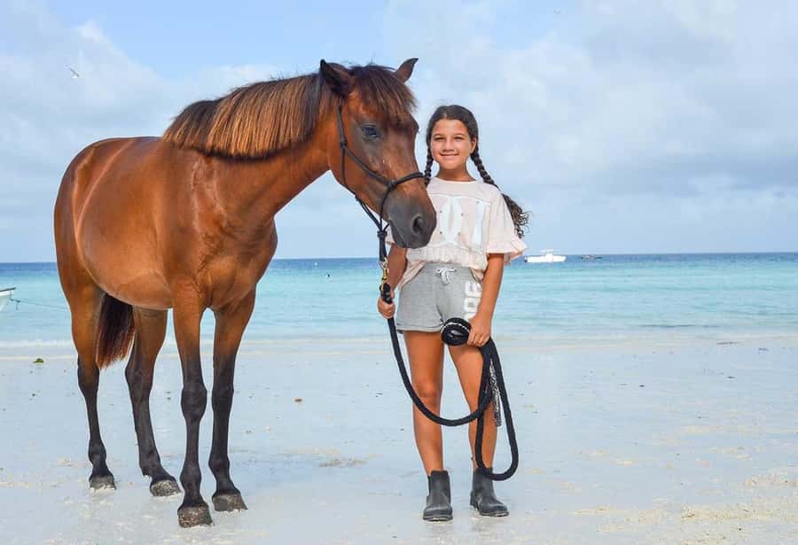 Zanzibar Horseback Riding - Meeting the horses and guides