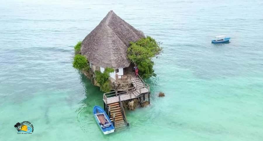 Zanzibar: Jozani Forest, Salaam Cave & The Rock Restaurant - What makes the red colobus sighting special