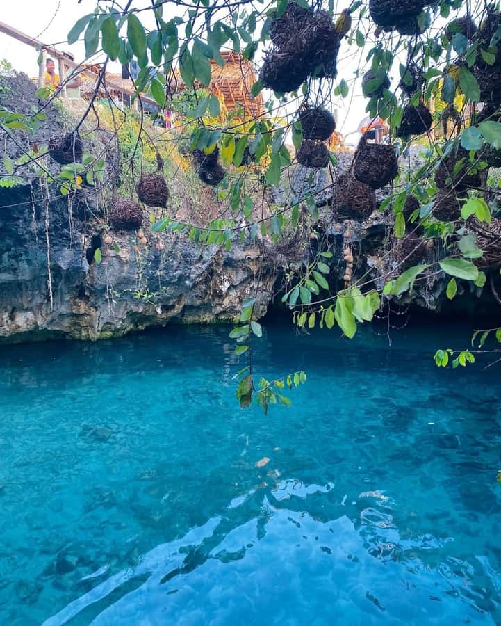 Zanzibar: Jozani Forest, Salaam & Maalum Caves and Sunset - Paje lunch and a useful pause
