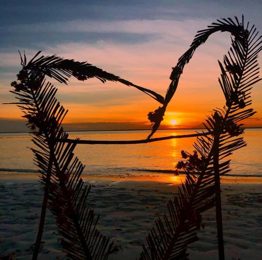 Zanzibar: Jozani Forest, Salaam & Maalum Caves and Sunset - Jozani Forest and the red colobus monkeys