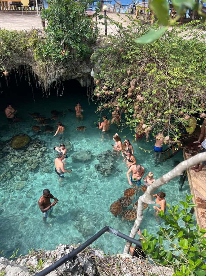 Zanzibar: Jozani Forest & Sea Tortoises Sanctuary Tour - From Jozani’s Forest Paths to Salaam Cave