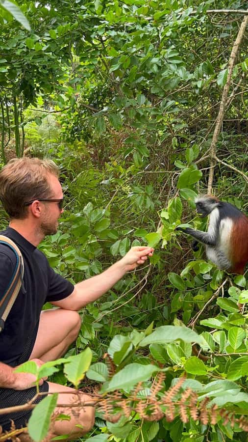 Zanzibar: Jozani Forest & Sea Tortoises Sanctuary Tour - Is $75 a Fair Price?