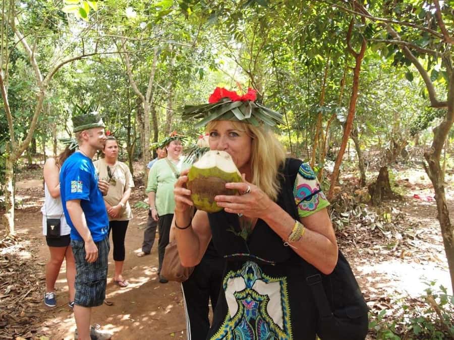 Zanzibar: Jozani forest tour & Spice farm tour with lunch - Lunch with pilau and tropical fruit