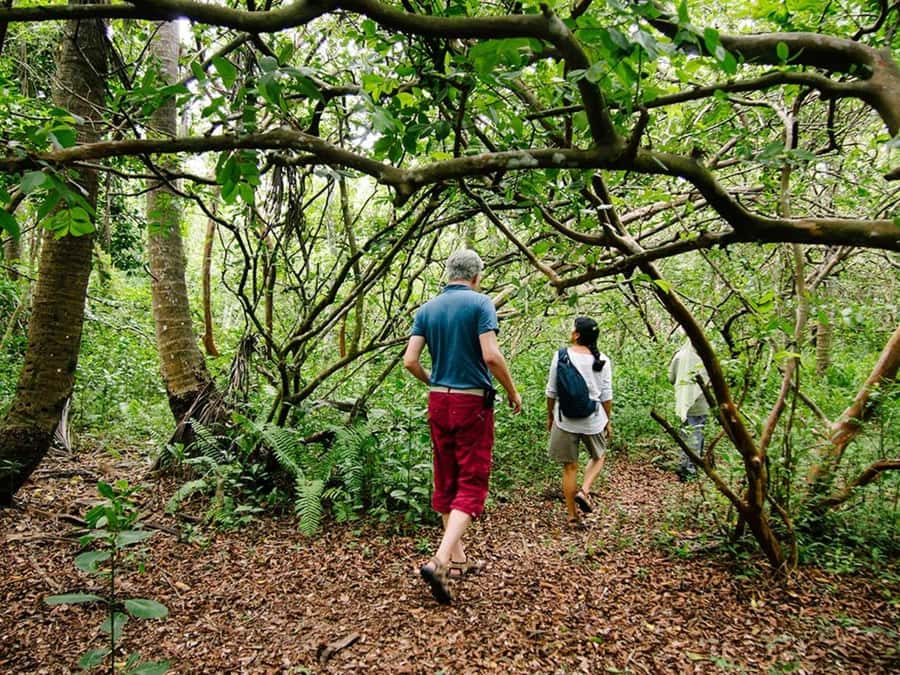 Zanzibar: Jozani forest tour & Spice farm tour with lunch - Buying spices, soaps, and perfumes