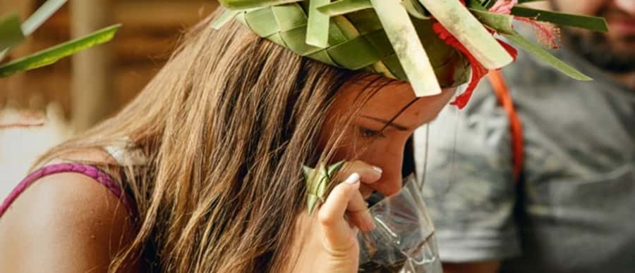Zanzibar: Jozani forest tour & Spice farm tour with lunch - Mangroves, fish, and medical plants