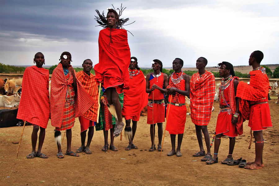 Zanzibar: Maasai village Tour with Sunset Dhow Cruise - What this Zanzibar outing is really like