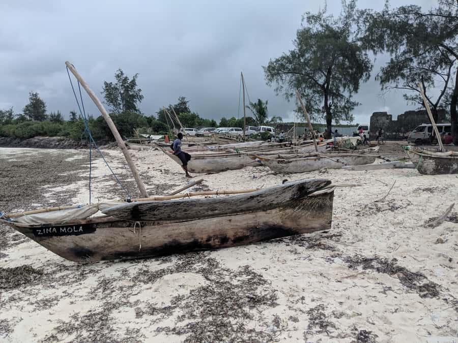 Zanzibar: Mnemba Atoll Marine Reserve Snorkeling Tour - Returning along the Unguja coast