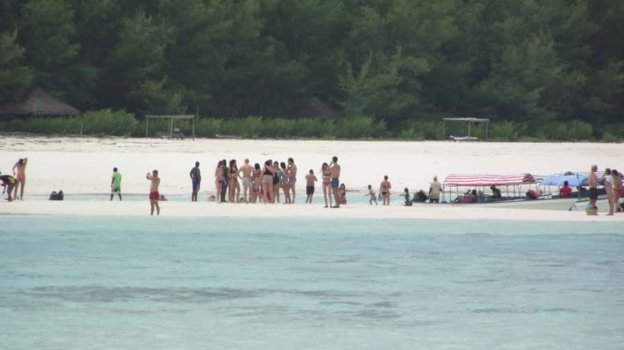 Zanzibar: Mnemba Atoll Marine Reserve Snorkeling Tour - Who should book this four-hour outing?