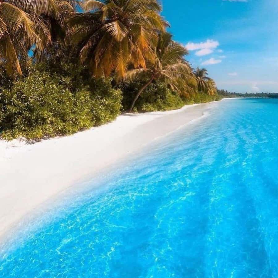 Zanzibar: Mnemba Island Atoll Guided Day Trip - The Rock is a photo stop first, restaurant second