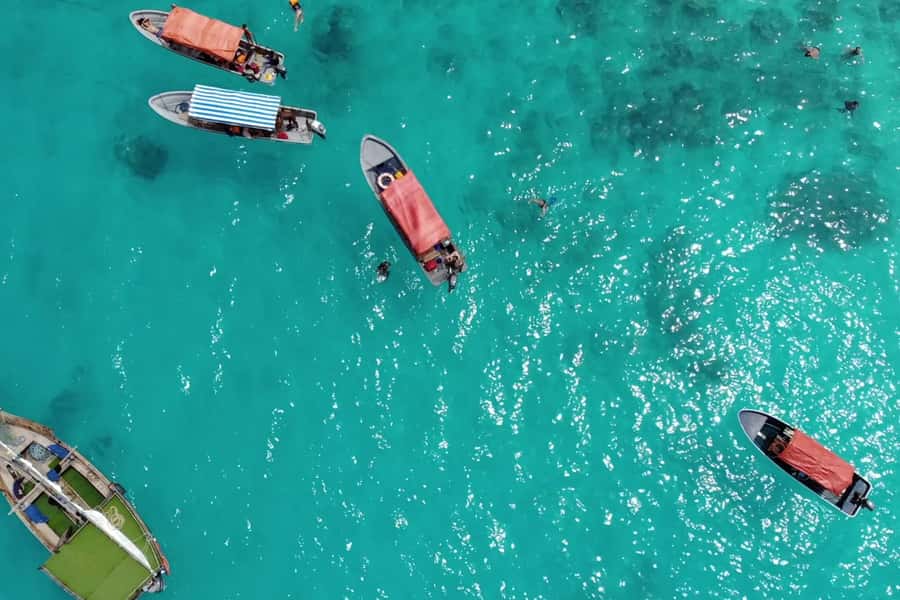 Zanzibar: Mnemba Island Dolphin and Snorkeling Tour - A morning on the water near Mnemba