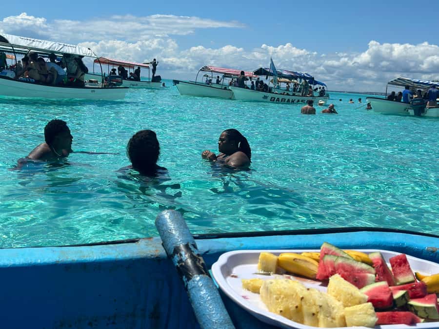 Zanzibar: Mnemba Island Dolphin and Snorkeling Tour - What the $40 price really covers