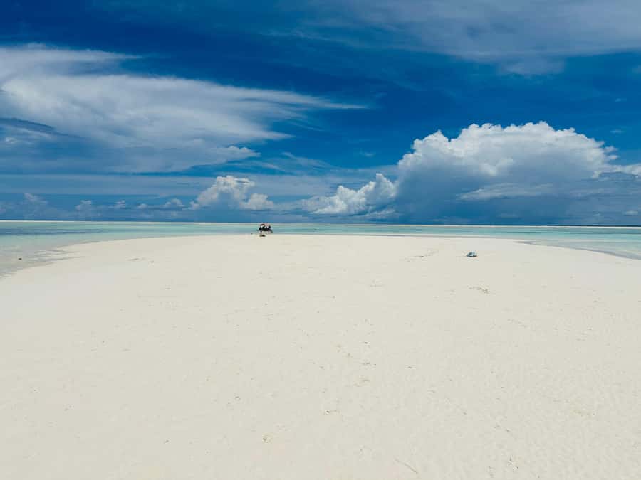 Zanzibar: Mnemba Island Dolphin and Snorkeling Tour - Boats, weather, and comfort