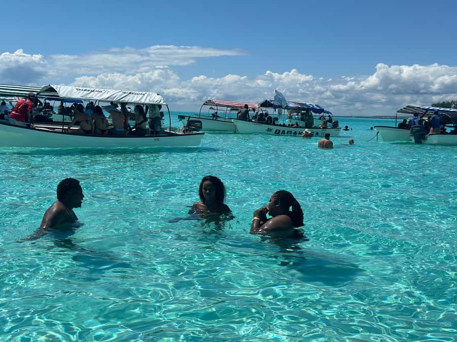 Zanzibar: Mnemba Island Dolphin and Snorkeling Tour - The guides and the day-to-day service
