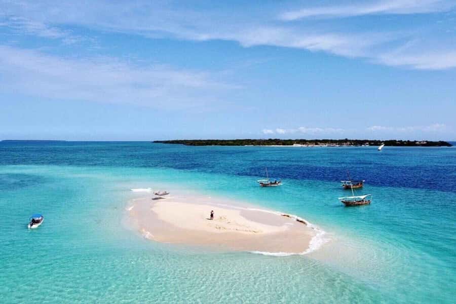 Zanzibar: Mnemba Island&Dolphin Swim With Optional Lunch - Snorkeling at Mnemba, from easy water to strong current