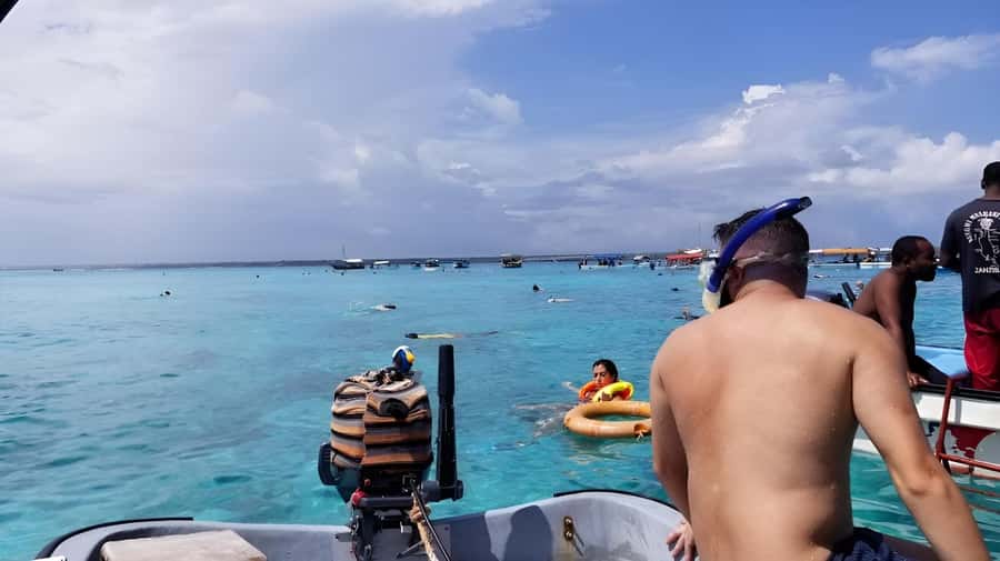 Zanzibar: Mnemba Island&Dolphin Swim With Optional Lunch - Guides, language, and service quality
