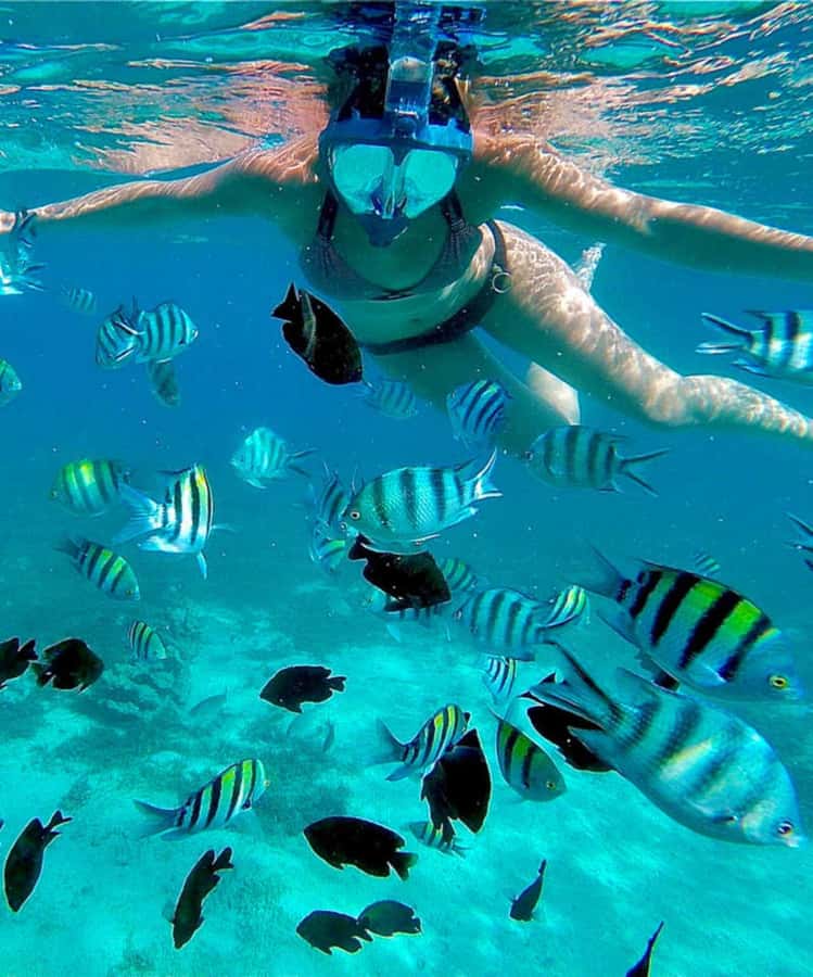 Zanzibar: Mnemba Island & Jozani Forest Tour with Turtles - What to pack for this eight-hour outing
