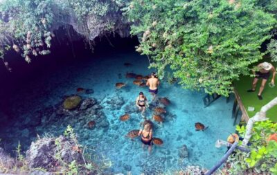 Mnemba Island, Prison Island and Salaam Cave Tour