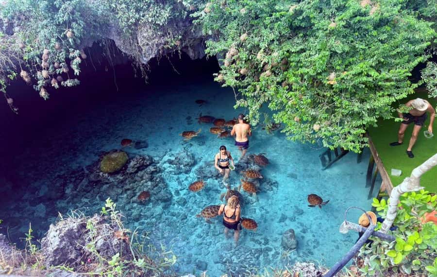 Zanzibar: Mnemba Island, Prison Island and Salaam Cave Tour - Starting with Mnemba Atoll