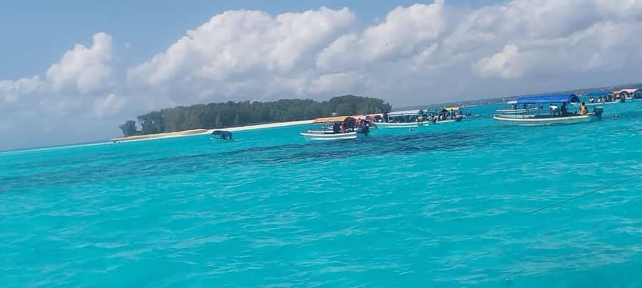 Zanzibar: Mnemba Island Snorkeling and Dolphin Tour - Seafood lunch by the water