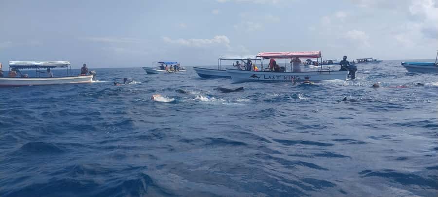 Zanzibar: Mnemba Island Snorkeling and Dolphin Tour - What the $40 price really covers