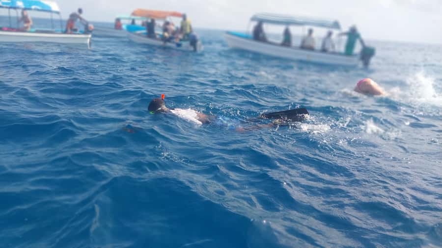 Zanzibar: Mnemba Island Snorkeling and Dolphin Tour - Timing, comfort, and practical concerns