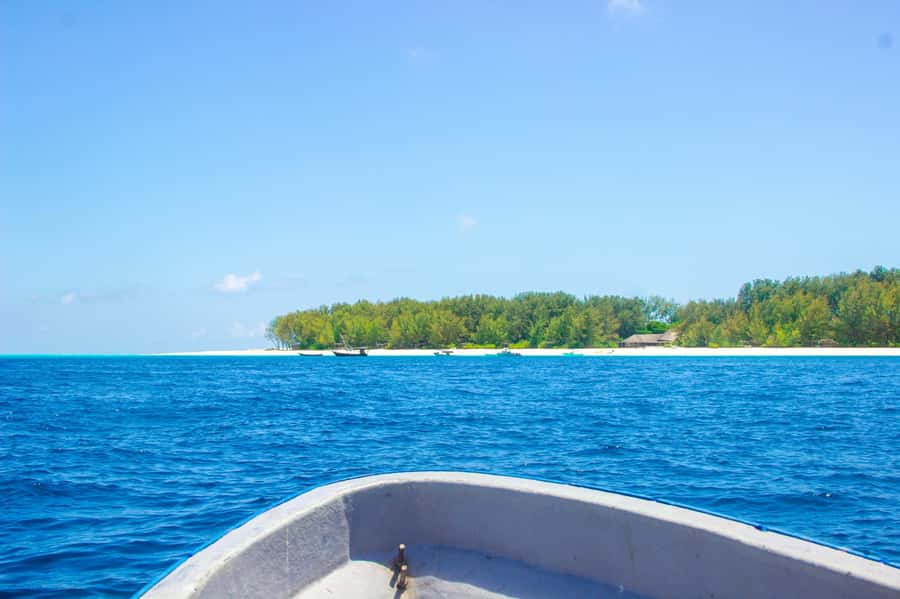 Zanzibar: Mnemba island Snorkeling & Boat Tour with Lunch - Who should book this tour