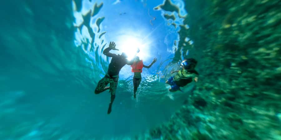 Zanzibar: Mnemba island Snorkeling & Boat Tour with Lunch - Dolphins, excitement, and a real ethical concern