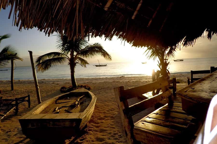 Zanzibar: Nakupenda Sandbank and Prison Island Tour & Lunch - Who will enjoy this Zanzibar day trip?