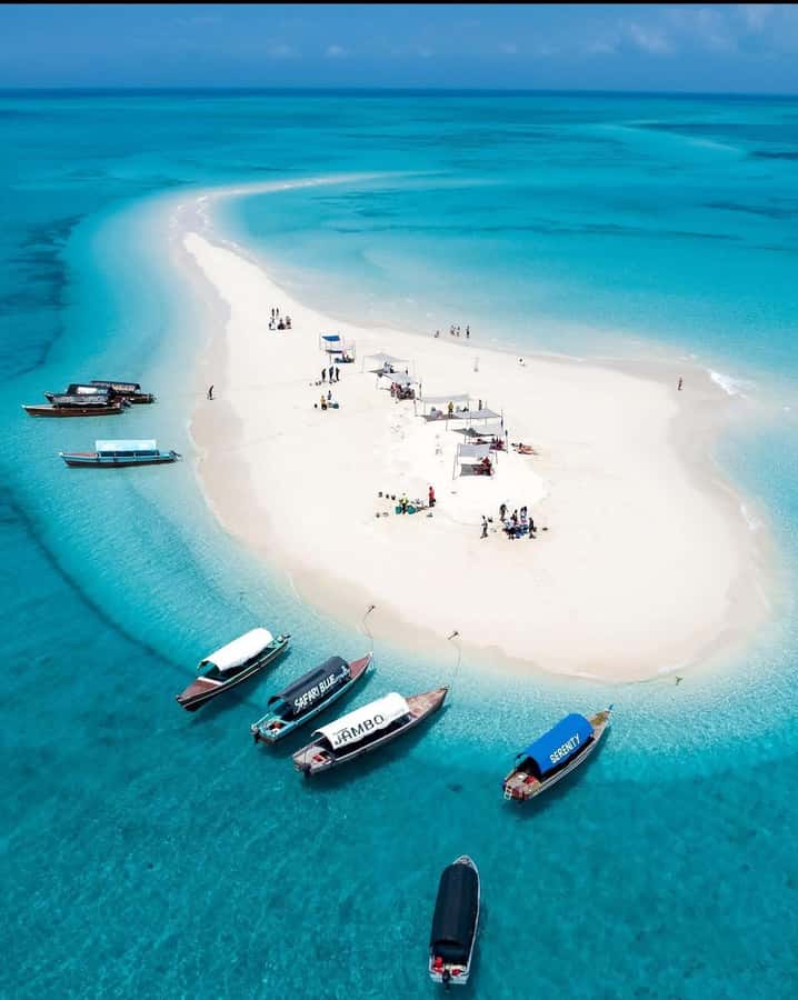 Zanzibar: Nakupenda Sandbank & Prison Island Trip with Lunch - Key points to know before you book