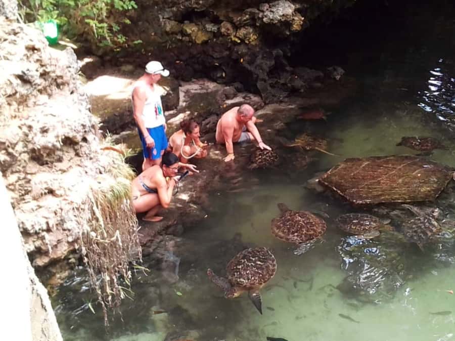 Zanzibar: North Coast and Turtle Sanctuary Tour - Key points to know before you book