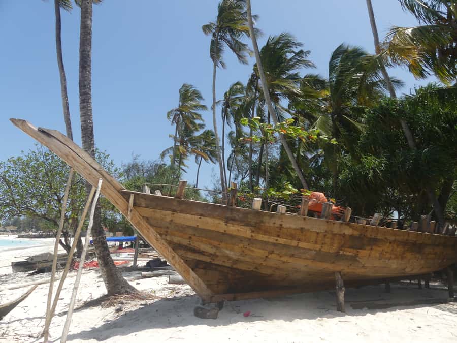 Zanzibar: North Coast and Turtle Sanctuary Tour - Why the Nungwi coast makes a good day trip