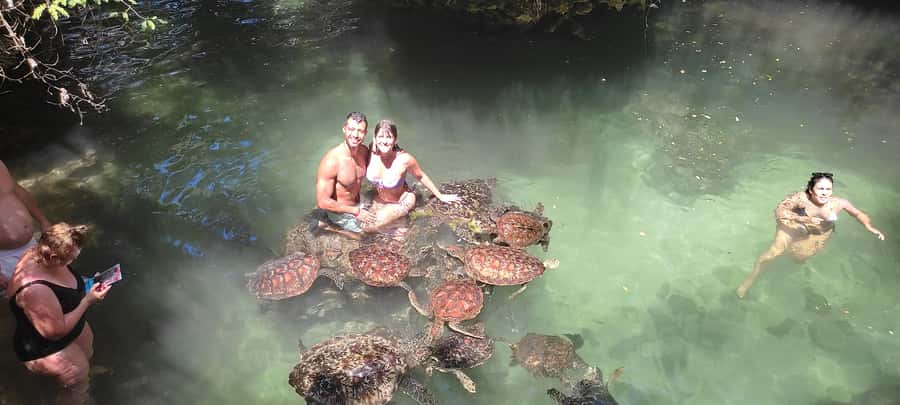 Zanzibar: North Coast and Turtle Sanctuary Tour - The turtle sanctuary and natural aquarium