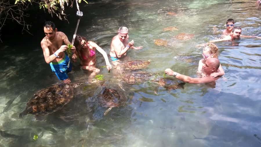 Zanzibar: North Coast and Turtle Sanctuary Tour - What lunch adds to the day