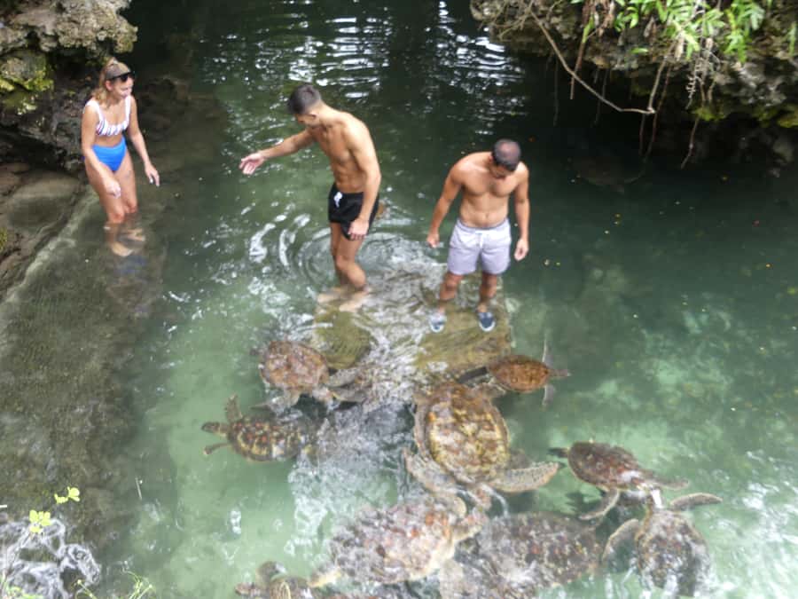 Zanzibar: North Coast and Turtle Sanctuary Tour - Who will enjoy this tour most?