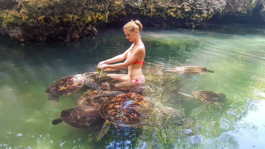 Zanzibar: Nungwi Turtle Aquarium Guided Half-Day Trip - Hotel pickup and the drive north