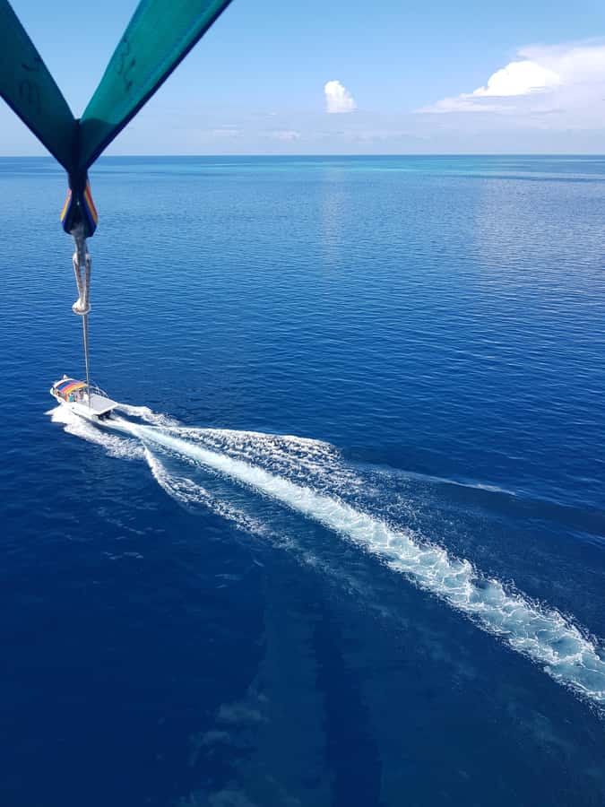 Zanzibar: Parasailing Experience with Instructor - Weather, privacy, and what to clarify