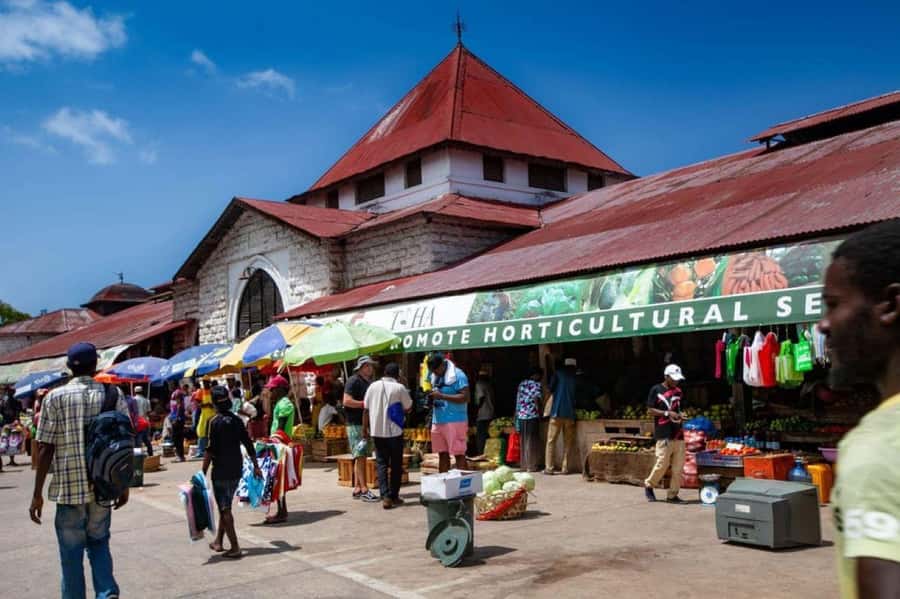 Zanzibar: Prison Island, Nakupenda, Stone Town Trip with BBQ - Who will enjoy this Zanzibar day trip?