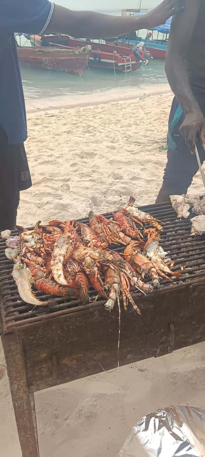 Zanzibar; Prison Island, Nakupenda, StoneTown Tour with BBQ - Stone Town in a focused 90 minutes